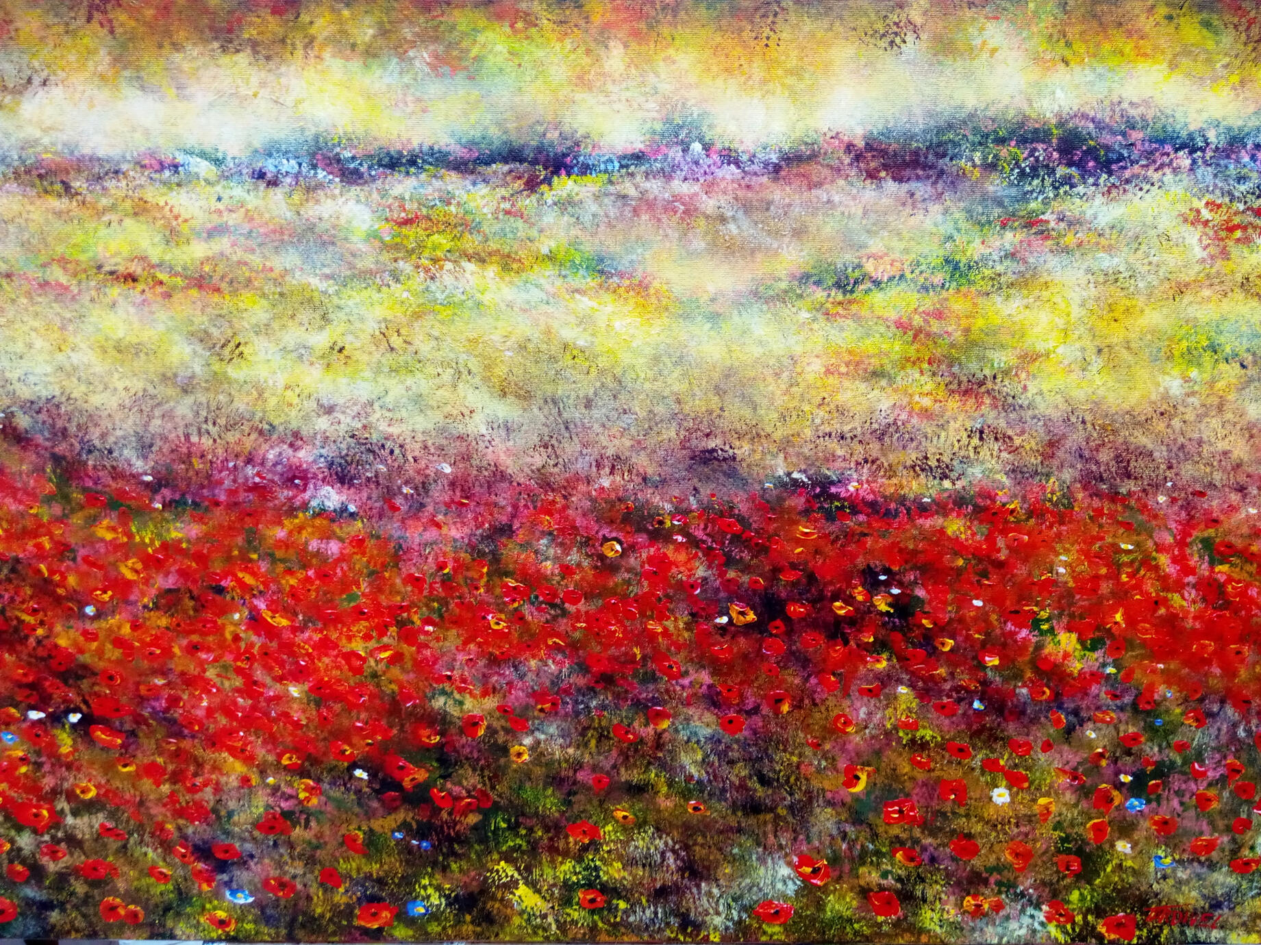 Coquelicots (65x92 cm)